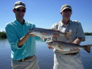 pair of 23 inch redfish