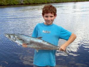37 inch king mackerel onshrimp, offshore from Bonita Beach