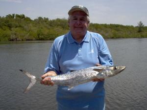 28 inch kingfish