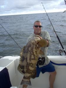 50 lb. goliath grouper released from Bonita Beach