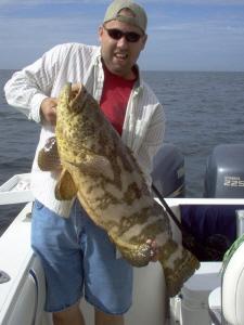 35 lb. goliath grouper released