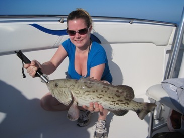 26-inch gag grouper released, due to closed season