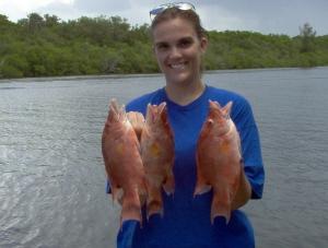 trio of hogfish on shrimp, Bonita Beach, FL