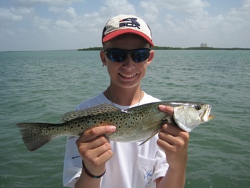 16-inch trout
