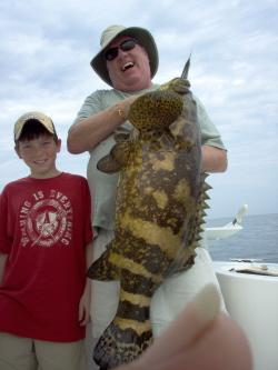 50 + pound goliath grouper