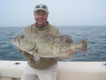 30-inch gag grouper, released due to closed season