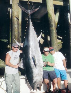 705lb Bluefin Tuna
