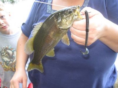 smallmouth  wife caught..