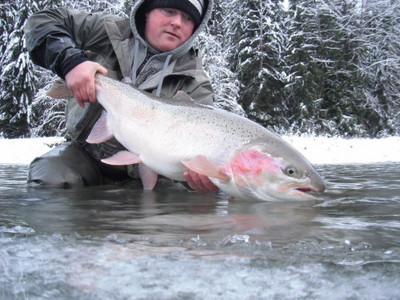 Photo caption: Darren Bisson with a beautiful winter doe Steelhead. This is one of the nicest pics of a winter Steelhead I have ever seen. Darren is an AAG (Assistant Angling Guide) for Tracey Hittel of Kitimat Lodge. Obviously Darren is enjoying the off