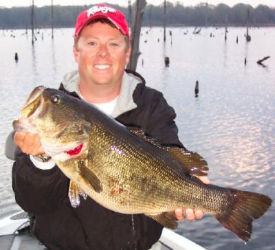 A 10 lb 4 oz bass that was suspended in the trees hit a crankbait.