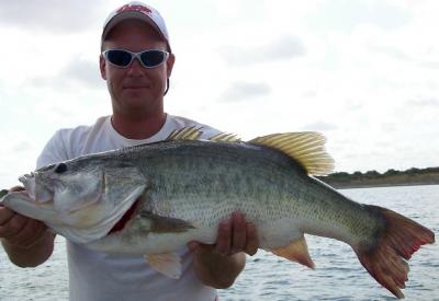 A nearly 12 pounder was suspended in a tree in deep water and hit a big worm.