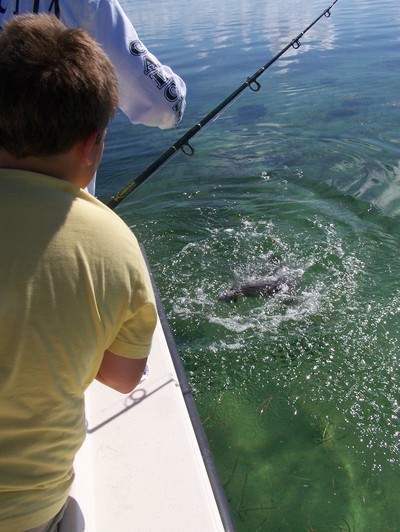 .....sharking and more in the Florida Keys!