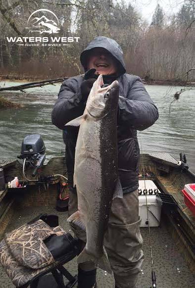 Steelhead are like Trout Only Much Bigger!
