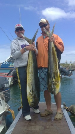 Male and Female Dorado caught together