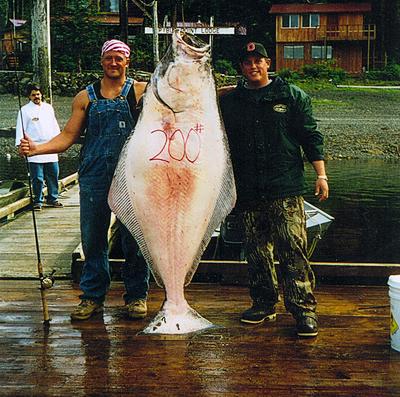 200 lb Halibut on 12 lb test Spiderwire.