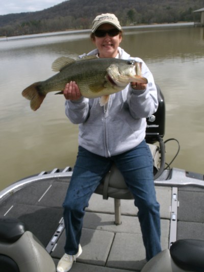 Guntersville Lake\'s big bass!