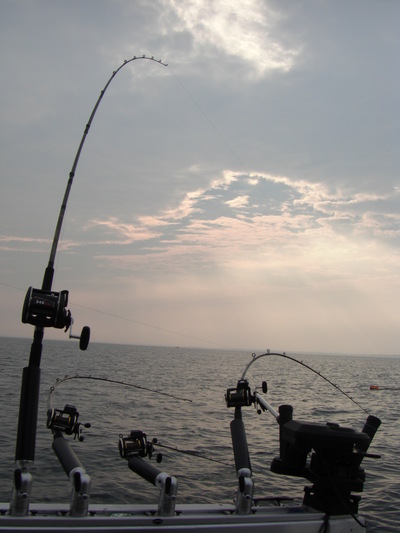 The High Diver is the second rod from the left and the Low diver is the second from the right. Disreguard the other two rods.