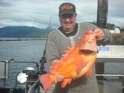 Great Red Snapper