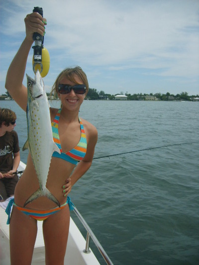 Great light tackle action, spanish mackerel