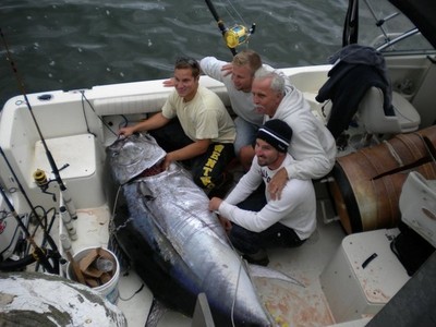 Giant bluefins like this 673 pounder have once again invaded Massachusetts Bay.