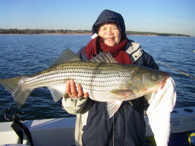 18lb Striper