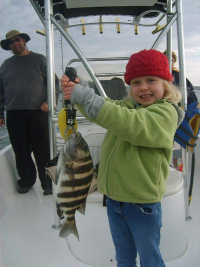 First sheepshead