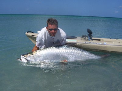 Gulf Tarpon are a blast when targeted in a kayak