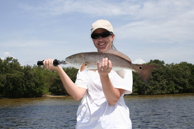 Tampa Bay Redfish www.captainwoodygore.com