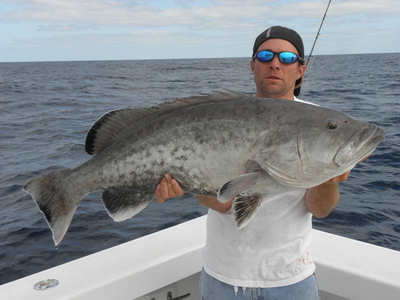 Grouper on the Last Mango