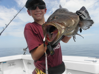 Grouper on the Last Mango