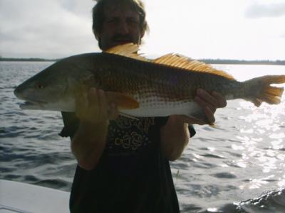 Trophy Redfish first light