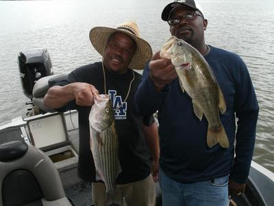 Wheeler Lake Largemouth Bass!