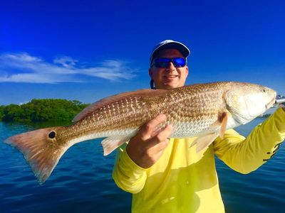 Tampa Bay Deep Sea Fishing Charters