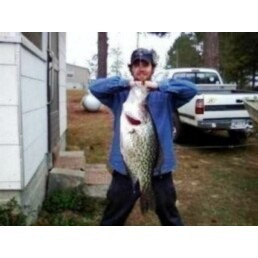 Frogs make good bait