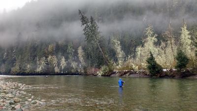 Fly fishing near Vancouver BC