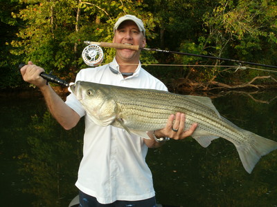 Now thats a hand full of fish, and a mouth full of fly rod!