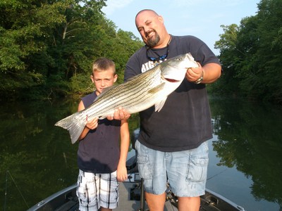 Big Striped Bass migrate to small creeks in the Fall!
