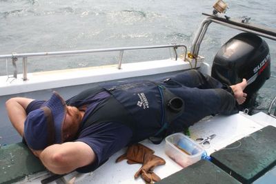 Resting or Sleeping?