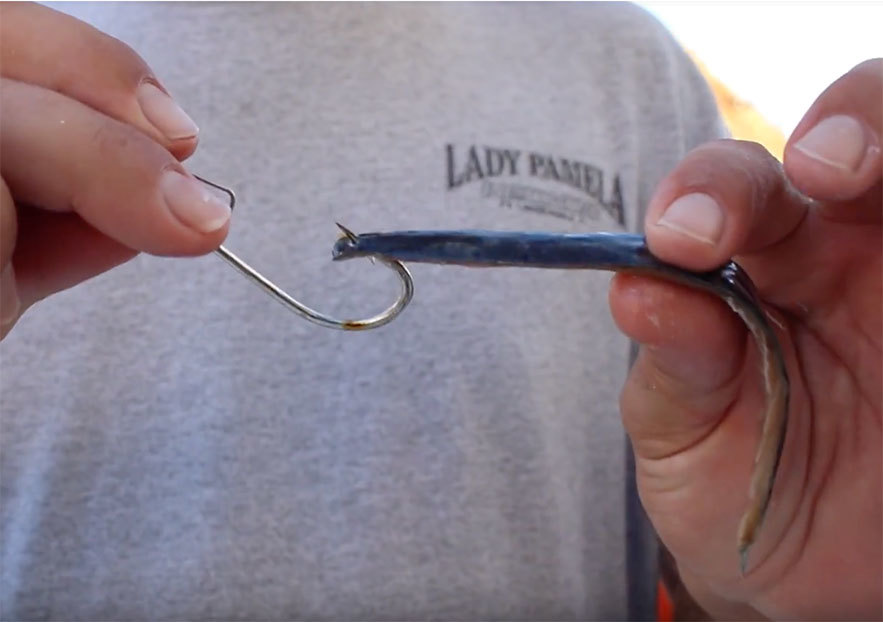 How To Rig Bonita or Mullet Strips for Trolling