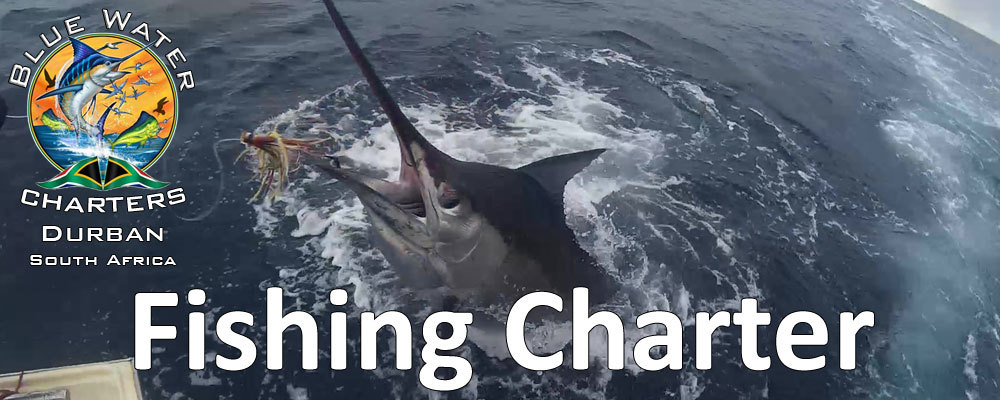 Blue Water Charters Durban