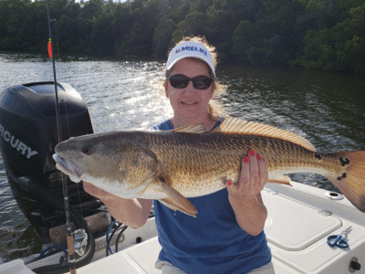 Gina with a nice big Tampa Bay Redfish