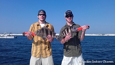 Hunter & Turner with a pair sheepies.