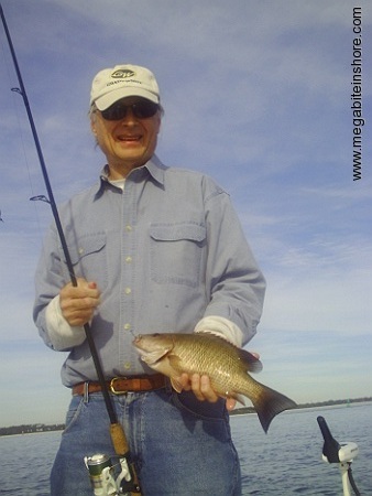 This nice black snapper hit a live shrimp on the rock jetties, yum yum!
