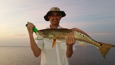 Big Reds on the flats in July
