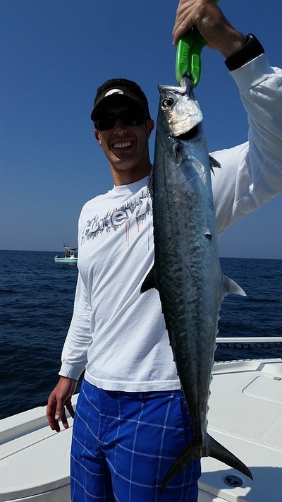 Kings have been think near the beaches