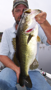 Florida Bass Fishing Guides