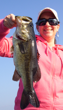 florida bass fishing guides