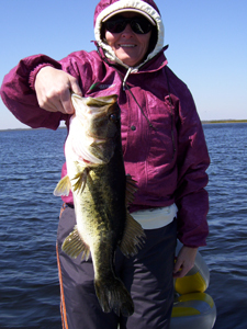 lake toho bass fishing