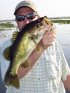 kissimmee chain bass fishing