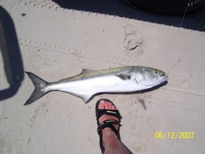 Blues like this all day